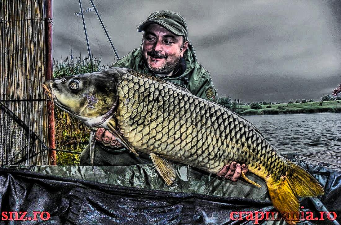 Cupa Seniorilor (2) -2013  - 1011503hdrmode2.JPG